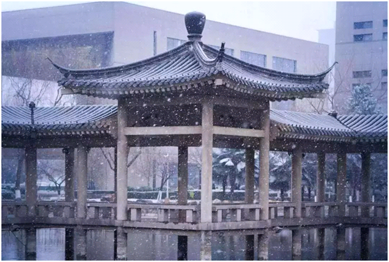 1个专业亚洲第一，港珠澳大桥总工程师也从陕西这所高校走出！