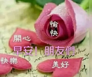 人生相遇，无言心温暖；真诚友谊，不语心相知，早安