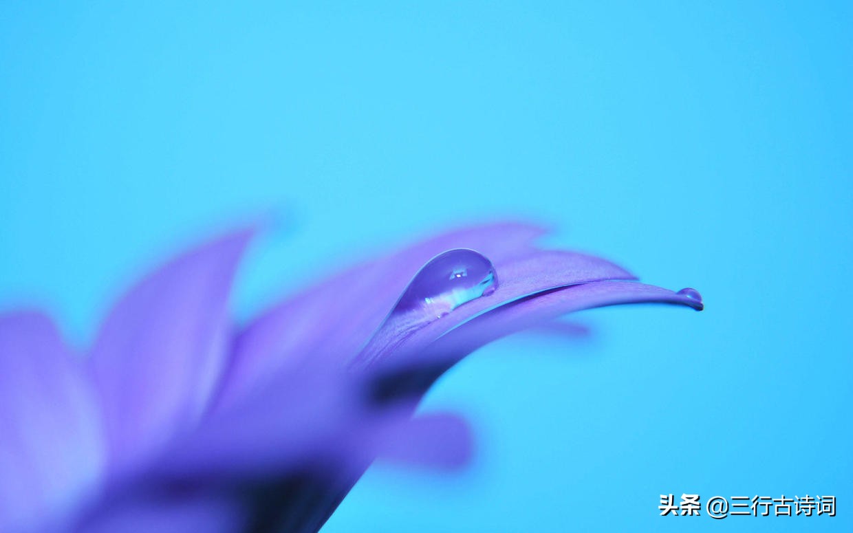 春风拂过，山间繁花似锦，红艳似火，奇景令人沉醉。