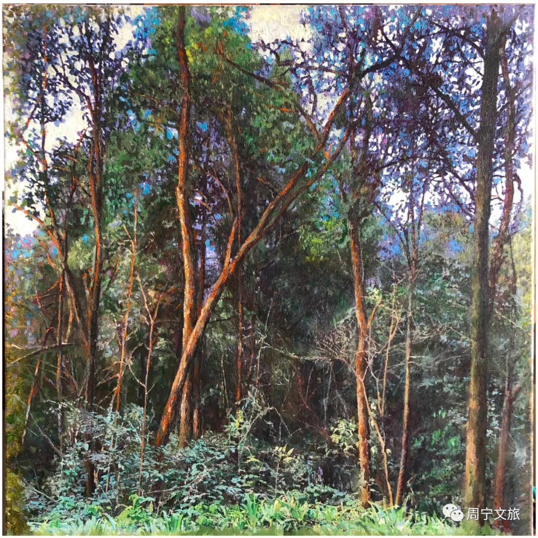 「云中周宁」厦门大学艺术学院美术系周宁写生作品展