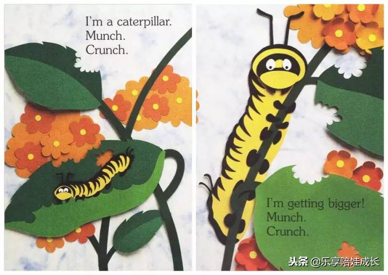 绘本磨耳朵：I'm a Caterpillar 中文《我是一条毛毛虫》！