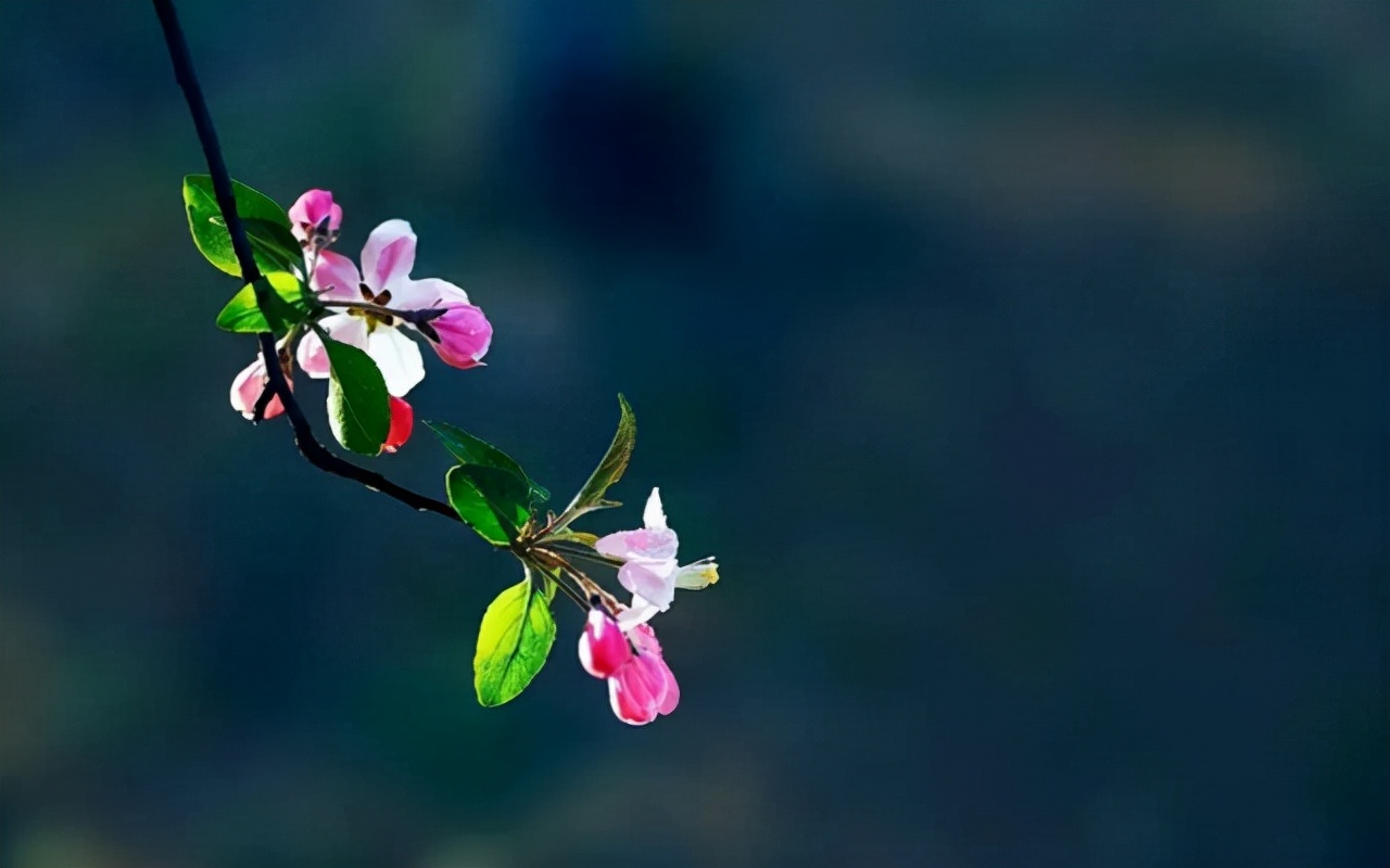 若有一天，我们重逢