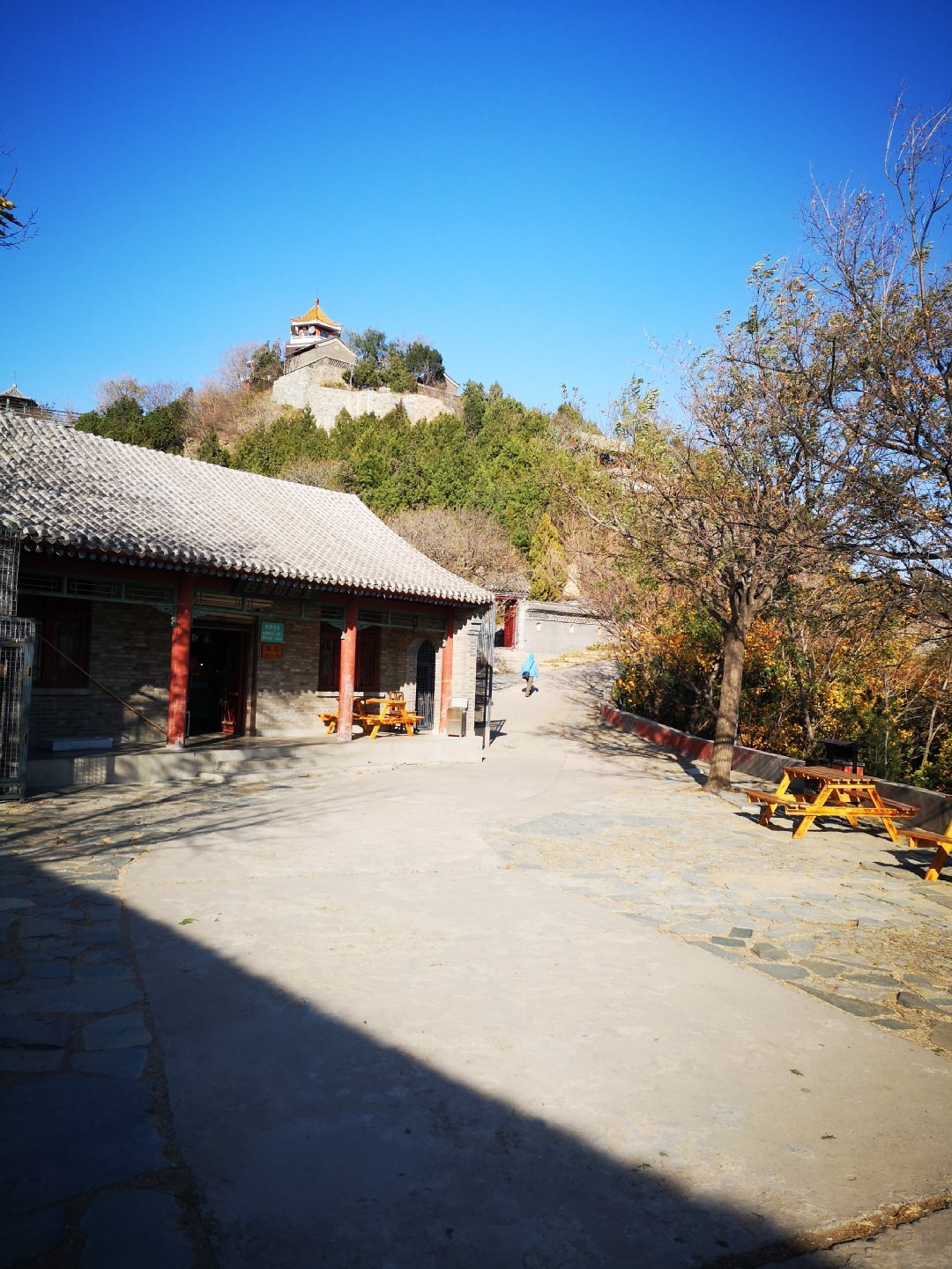 百望山森林公园 百望山森林公园红叶-文化号