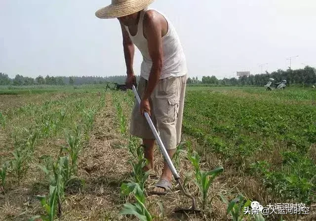 种子是这样炼成食物的，总算是明白了“粒粒皆辛苦”的含义了！