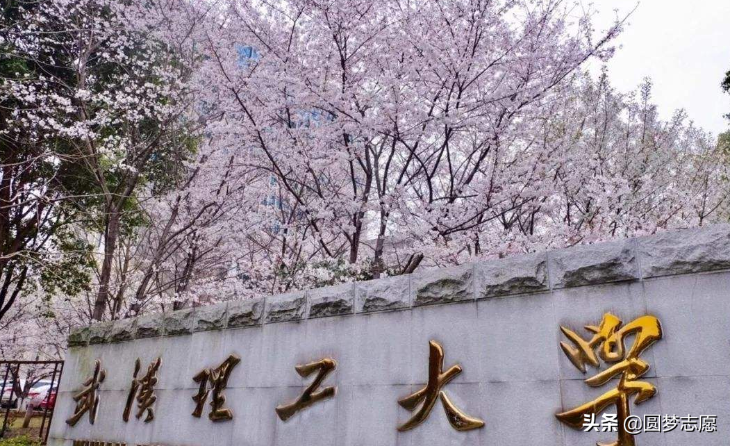 被叫做“984.5”的武汉理工大学是个什么档次？为何被这样称呼？