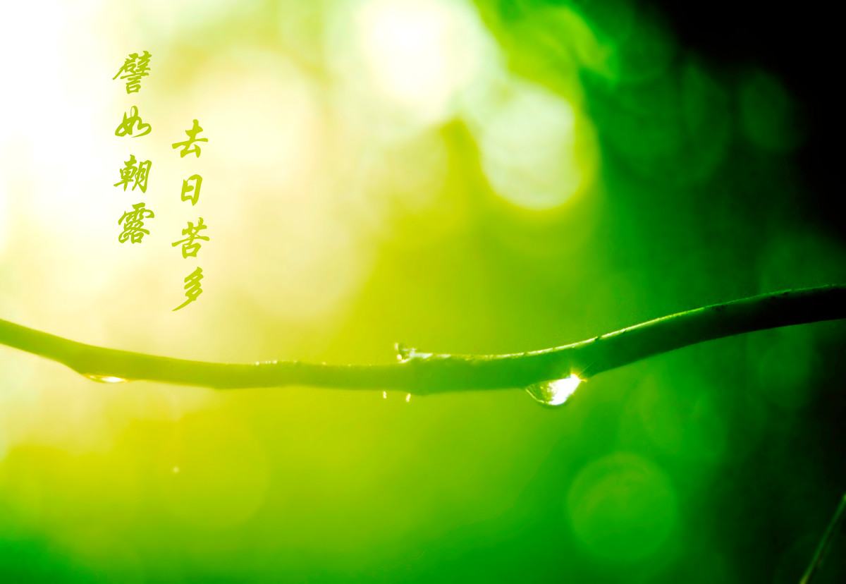 《增广贤文》:5条发人深省的惜时名言,且行且珍惜,做事要抓紧