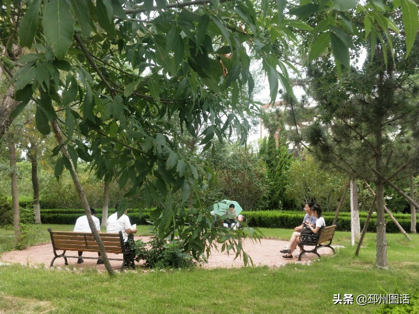 美丽的校园，威海职业学院