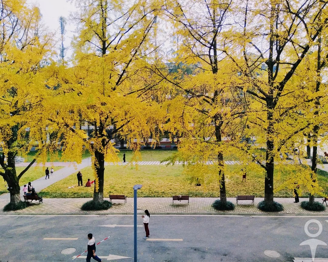 餐厅配备钢琴，三大校区美不胜收，还是西游记拍摄地！四川这所高校让人心动