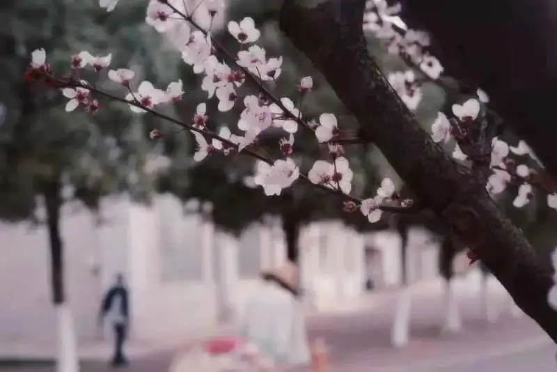 国家级一流！厉害了我的云南农大