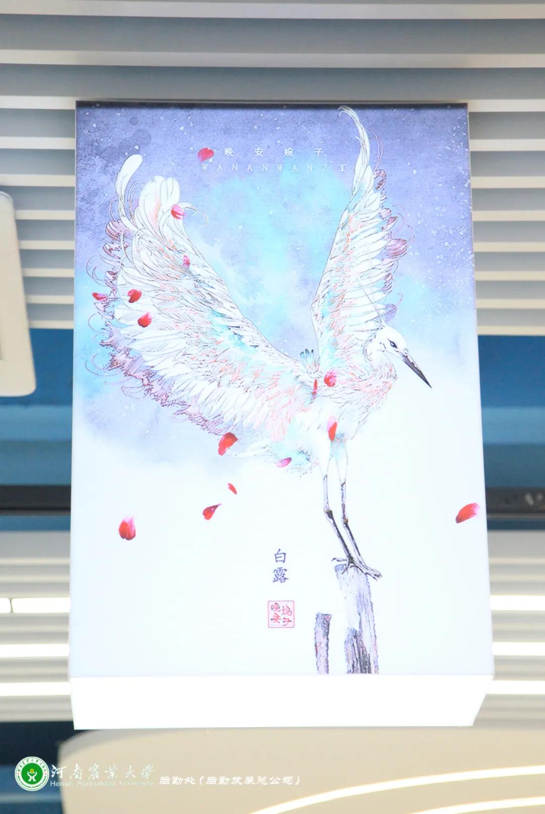 美美美，14000㎡等你发现，农大餐厅焕新啦