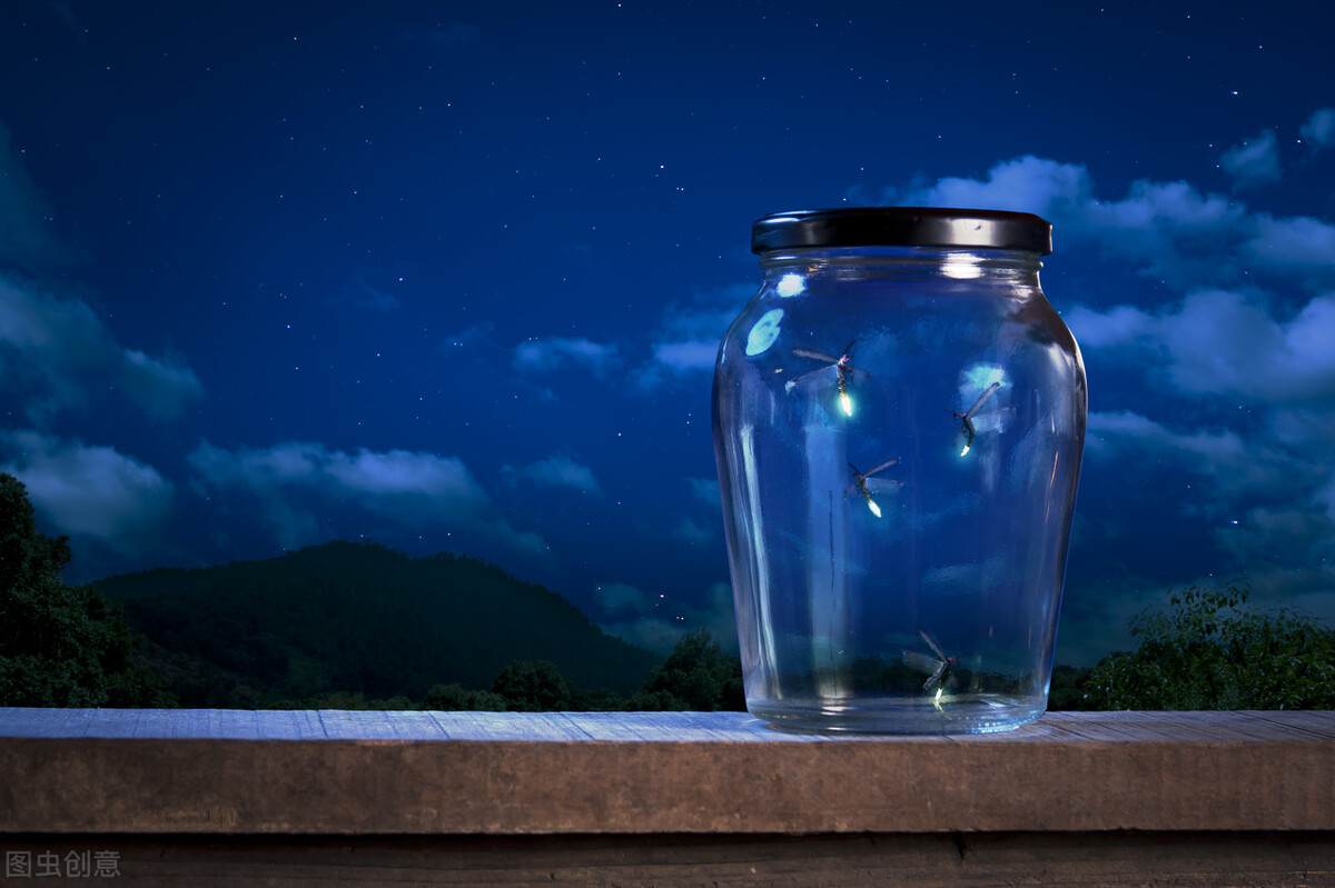 夏天印象生物——萤火虫