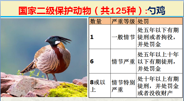 二级保护动物（国家最新125类二级野生保护名录）