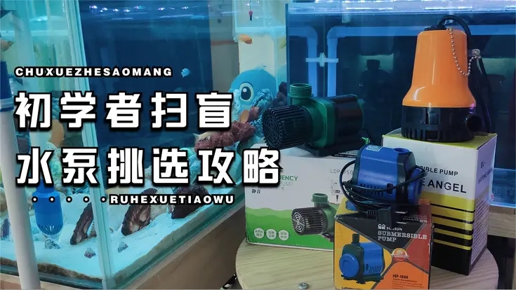 新手养金鱼必备：优质水泵品牌推荐指南