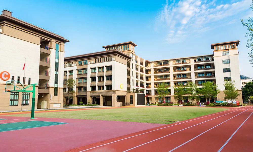 南山区外国语学校（集团）VS太子湾育才、深圳湾学校孰优孰劣