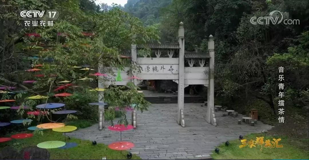 桃花源擂茶已有上千年历史，获央视专题报道