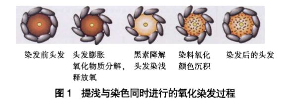 俄罗斯染发剂多少钱(100块钱的染发剂和1000块的到底有什么区别？)