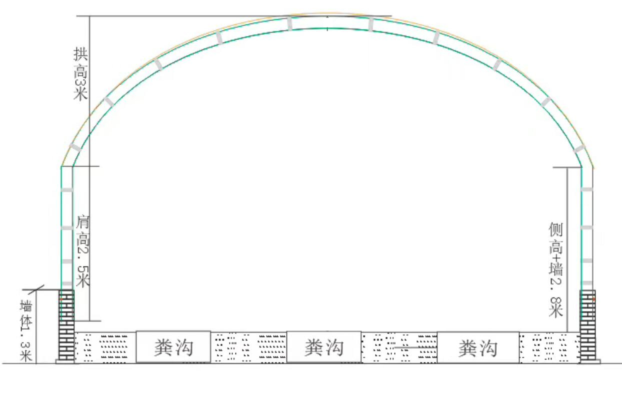 养猪大棚如何建？满足养殖的需求又能省钱，看我设计的是否有道路