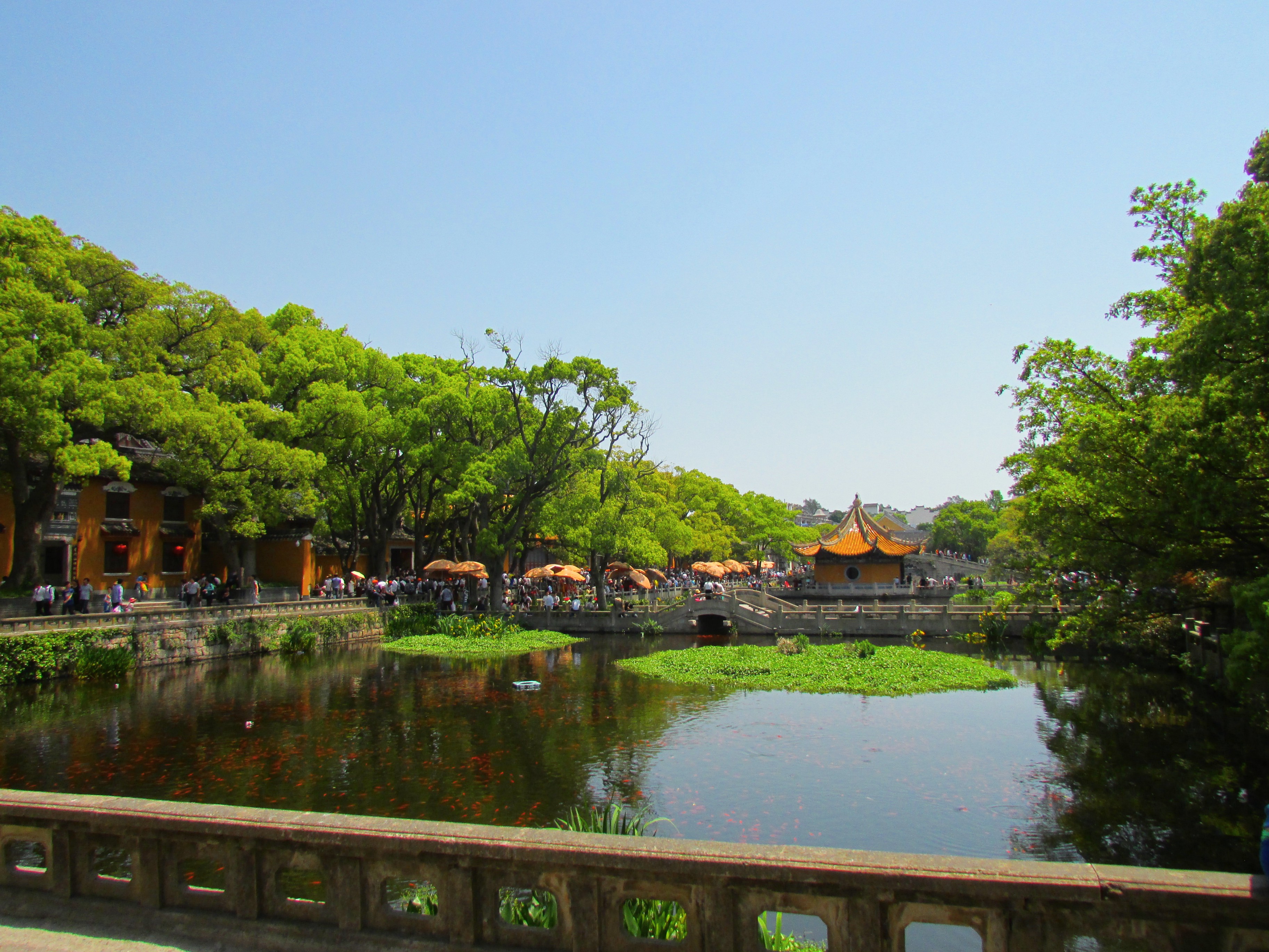 去普陀山旅游(普陀山旅游攻略一日游)