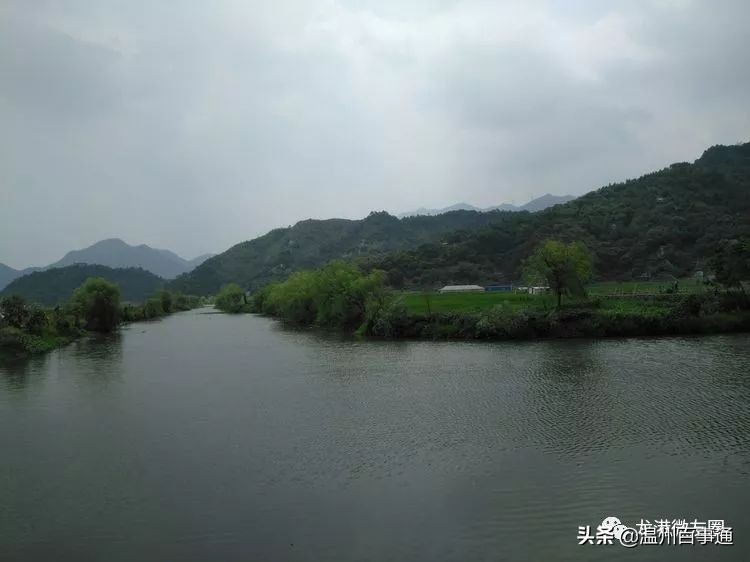 全面解读“望里”