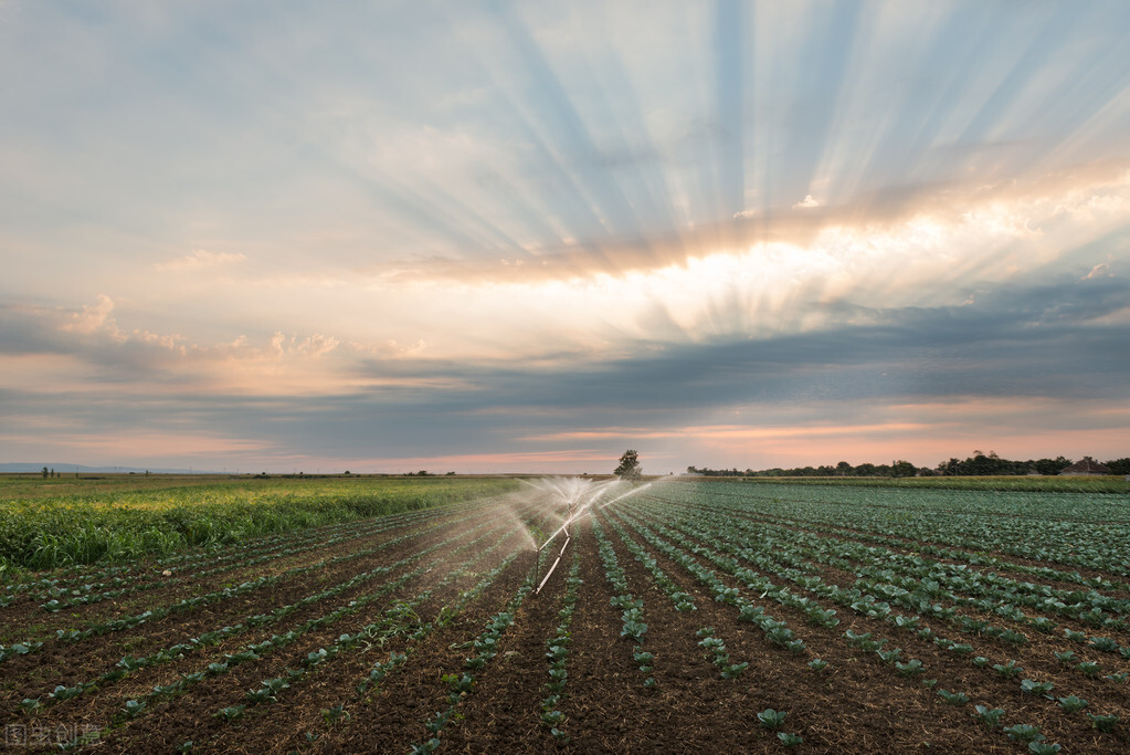 农学考研推荐院校！部分985、211还有调剂名额