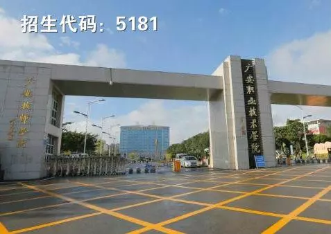 四川2020年高职单招“教育与体育”大类院校