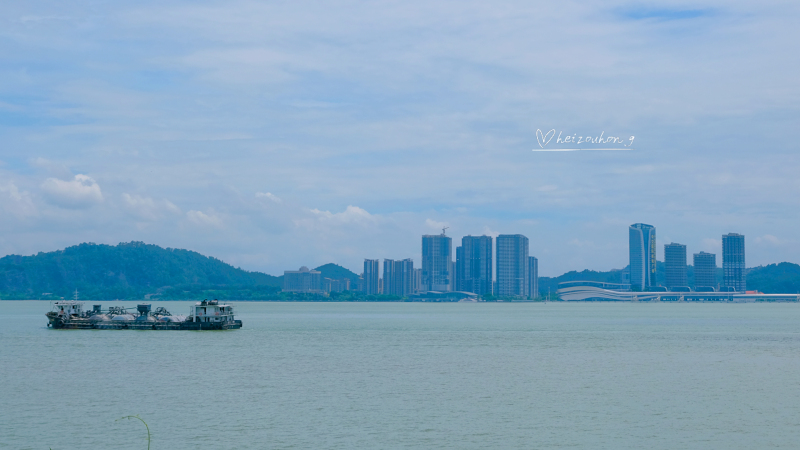 篮球世界杯东莞赛场内景(广东旅行，认识了一个“正经”的东莞，和历史课本之外的虎门)