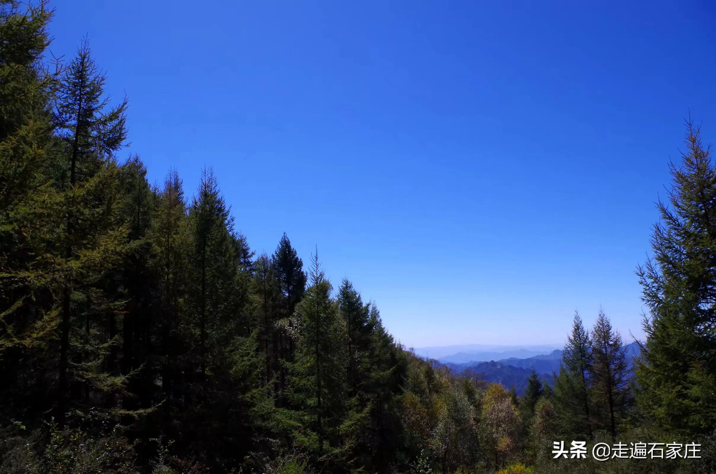 我心中的石家庄十大旅游景区，如果你没去过，不算真正来过石家庄