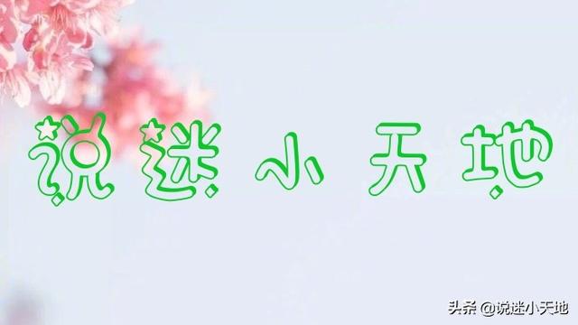 奇葩帅气精英律师与败家美女律师之间的battle《你被开除了》