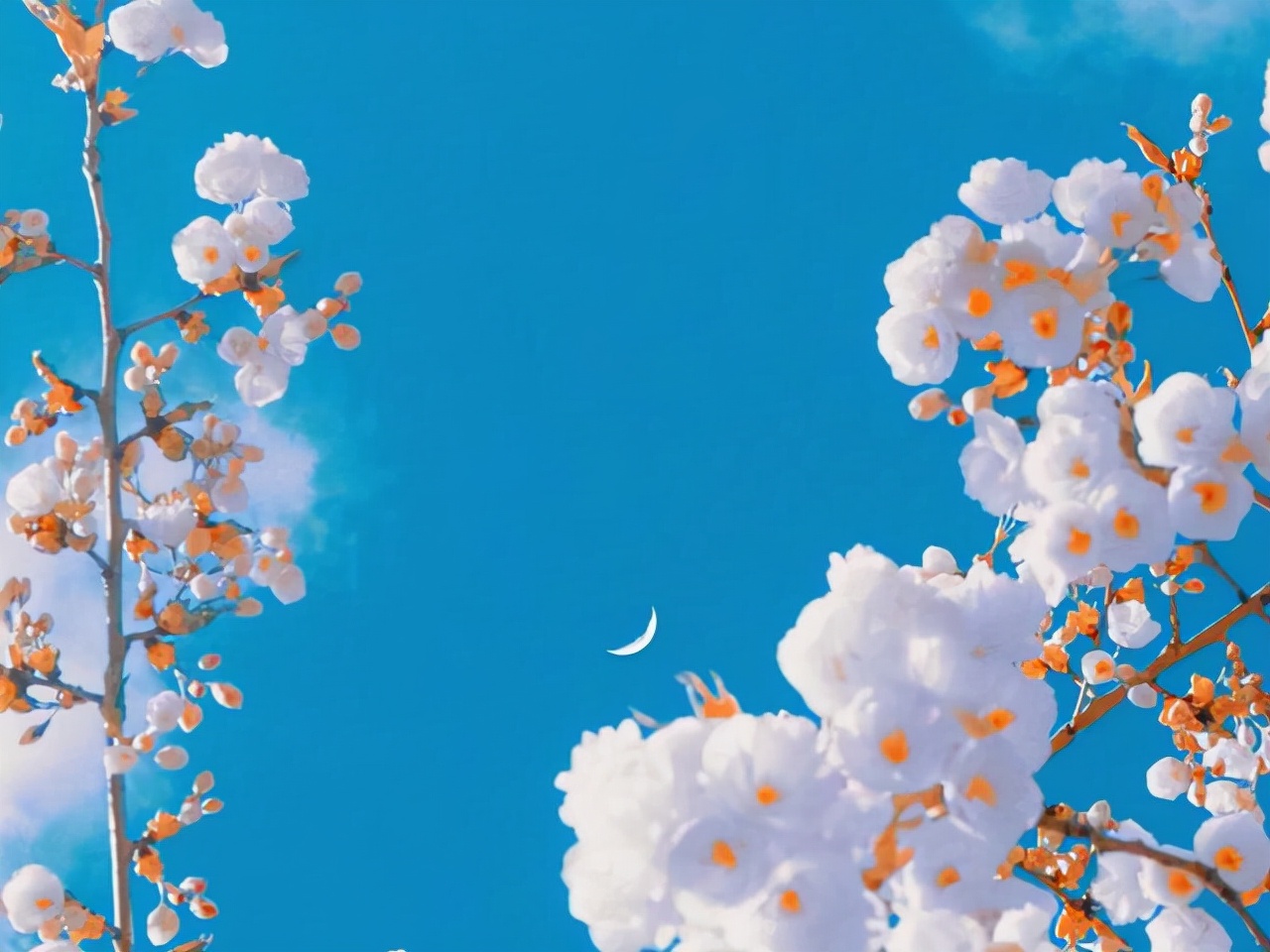 人生百味，随缘，随心，随意（感悟）