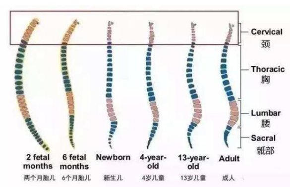 新生儿被诊断脊柱变形，这几个习惯容易伤害孩子，宝妈尽快改正
