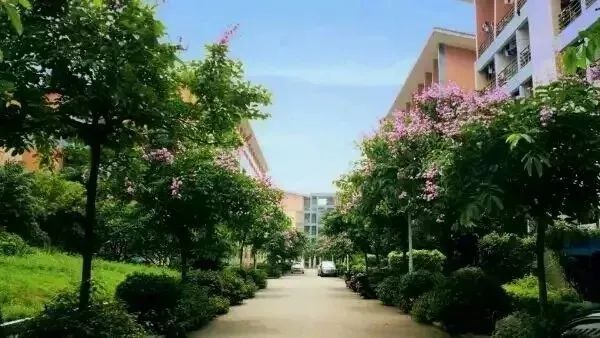 高职高考必看｜全面了解广东轻工职业技术学院