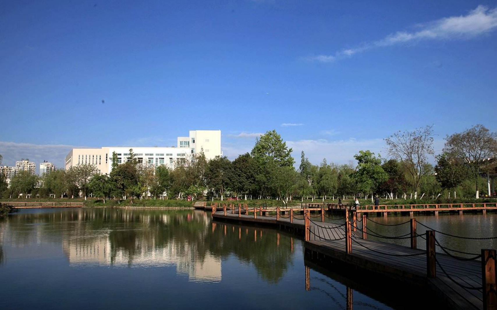 2017年四川理工大学录取分数,2017年四川理科分数线_友友