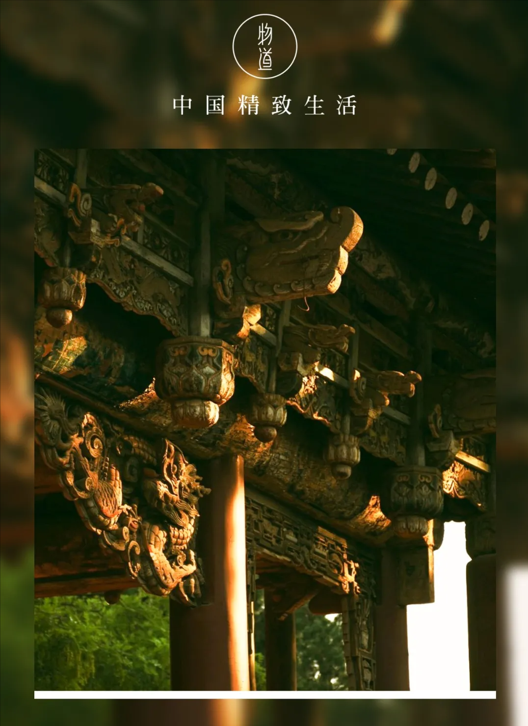 你姓什么，你的根就从哪儿来