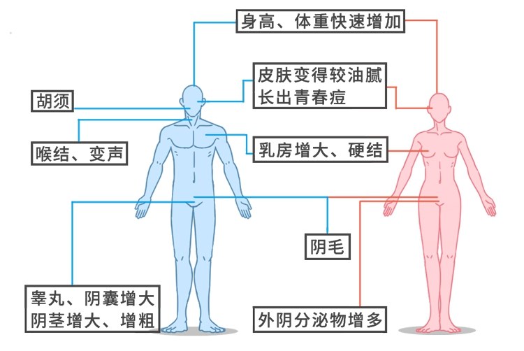 做梦打篮球总是投不进(正经科普：睡觉时做春梦，是潜意识还是生理反应？大胆研究了一下)