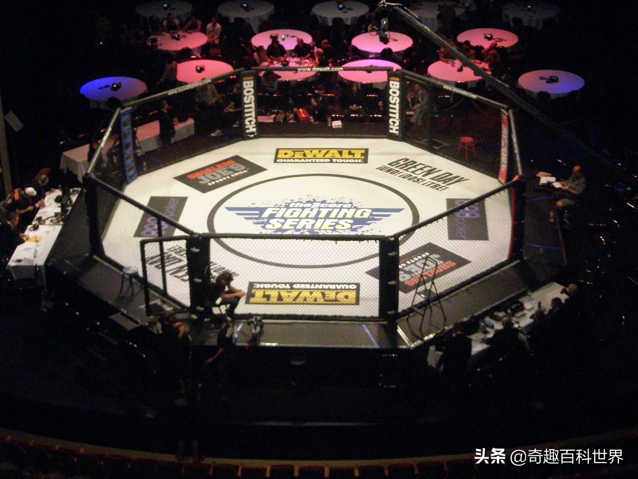 中国UFC首位冠军产生，UFC 和 MMA，WWE到底是啥？