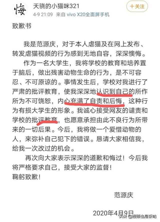 山东理工大学学生范源庆虐杀流浪猫事件事情始末