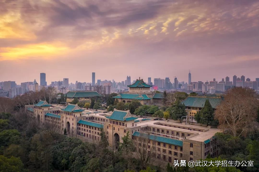 武汉大学稳居国内高校第一方阵，迈向世界一流大学前列。