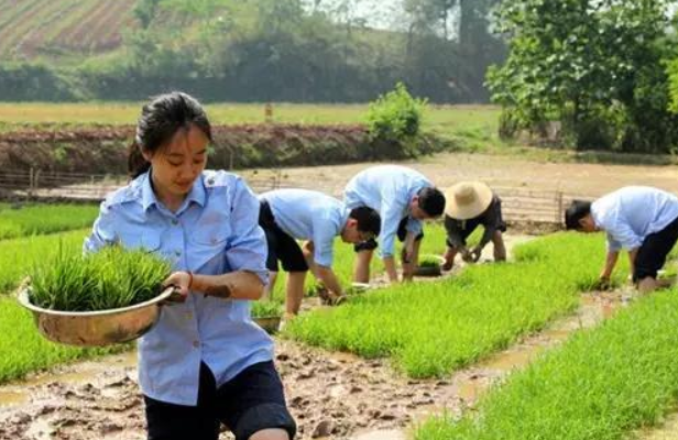 鄉鎮公務員實現“逆襲”，薪資待遇將超縣城公務員，鐵飯碗更鐵了