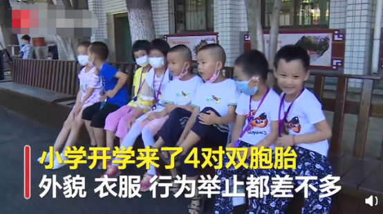 男子伤人后拒捕袭警被击毙【三分钟法治新闻全知道】