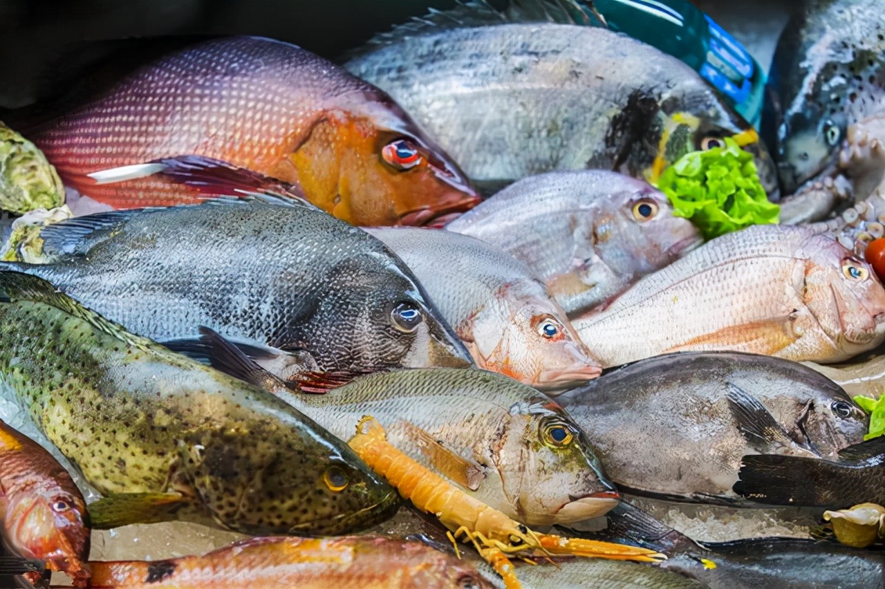 适合冬季吃的4种海鲜,肉质肥厚细嫩,价格便宜,错过要等明年了