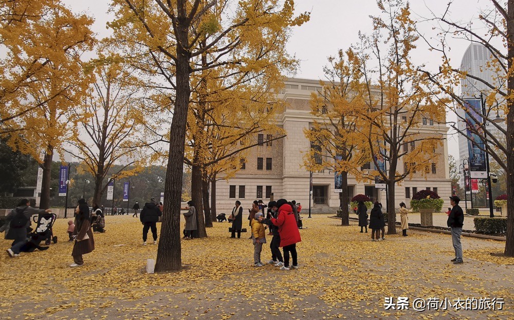 上海有什么好玩的地方景点推荐（推荐上海最特色8个地方）