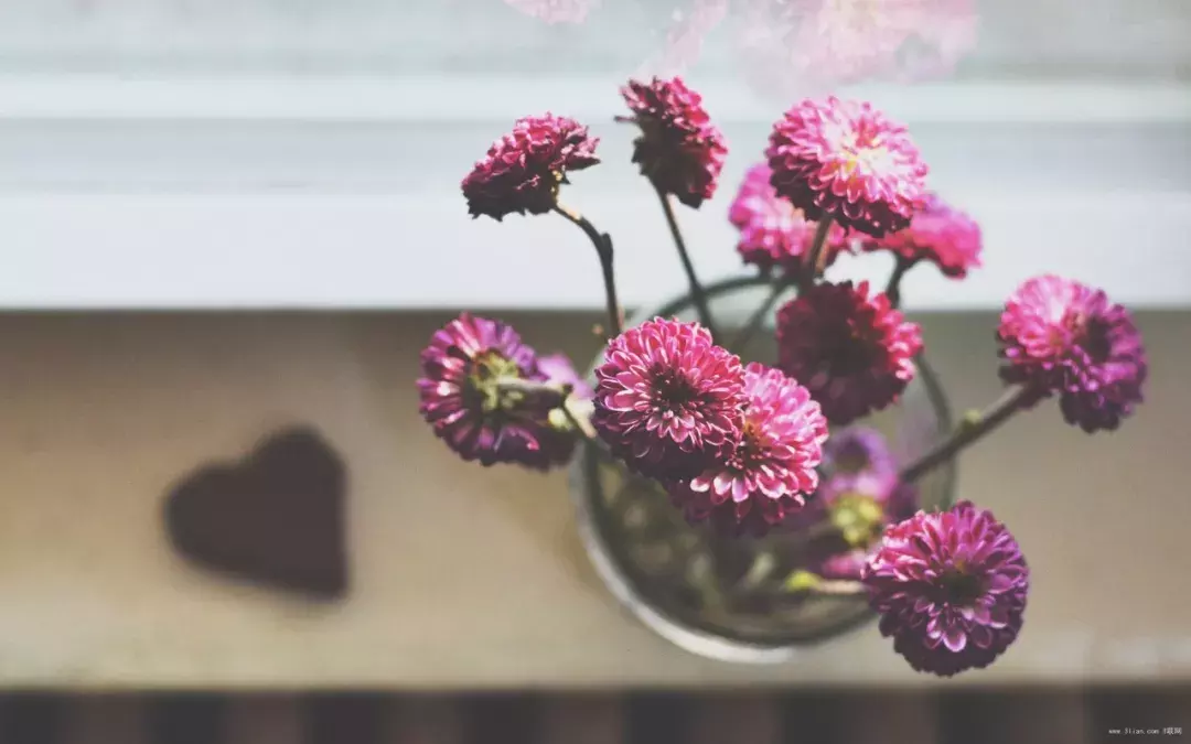 全国最佳成人作文:《喝酒》