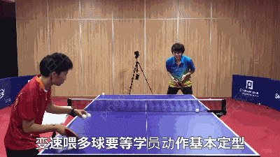 乒乓球变速球怎么打（这样派发多球，才能让球员更好的掌握动作要领、固定动作框架）