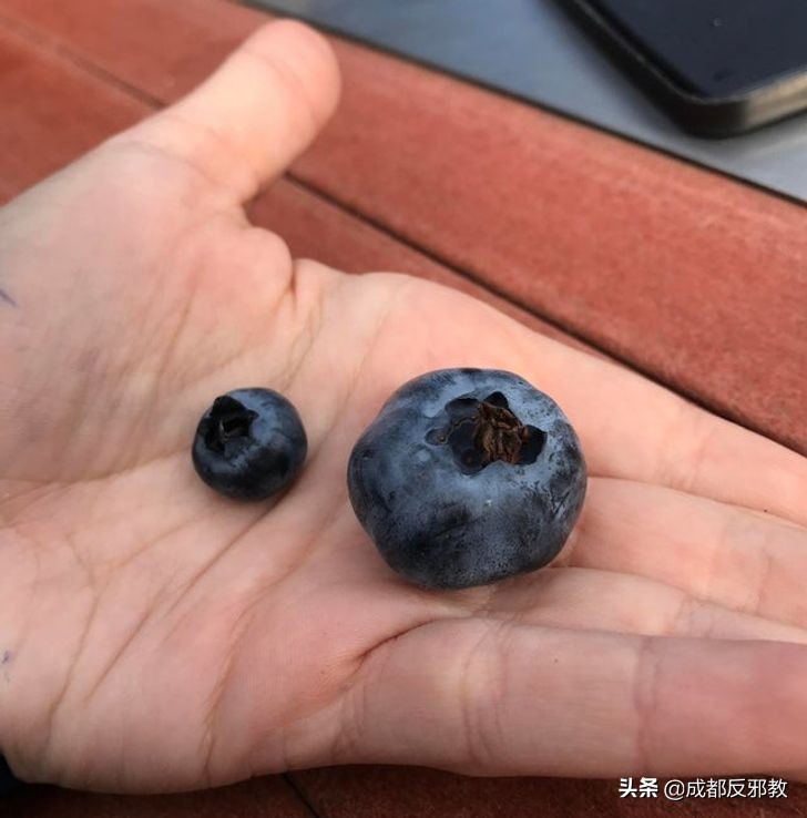 可能你没见过的新奇事情