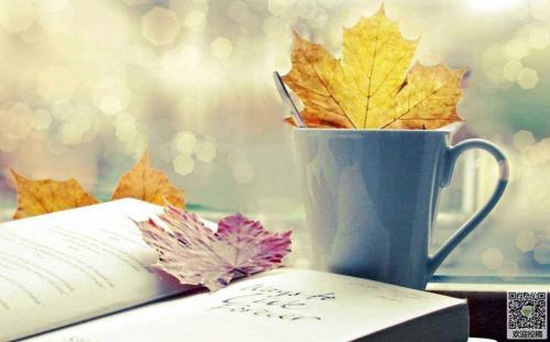 叶圣陶杯中学生作文赛获奖作品11篇: 篇篇都是满分作文的范文