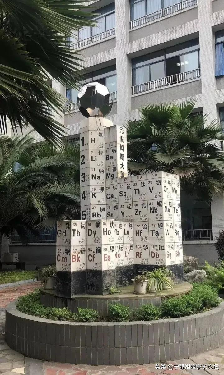 初升高家长注意！这7所公办高中，值得你关注