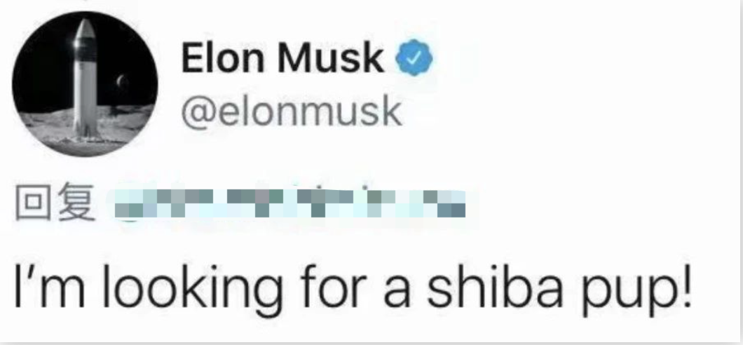 币圈疯了：炒完狗币炒屎币，下一步是炒LowB？