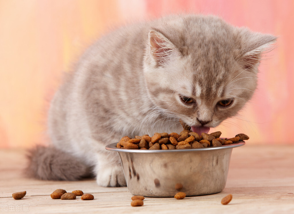 猫能吃红薯吗（两个月的猫能吃红薯吗）-第4张图片-华展网
