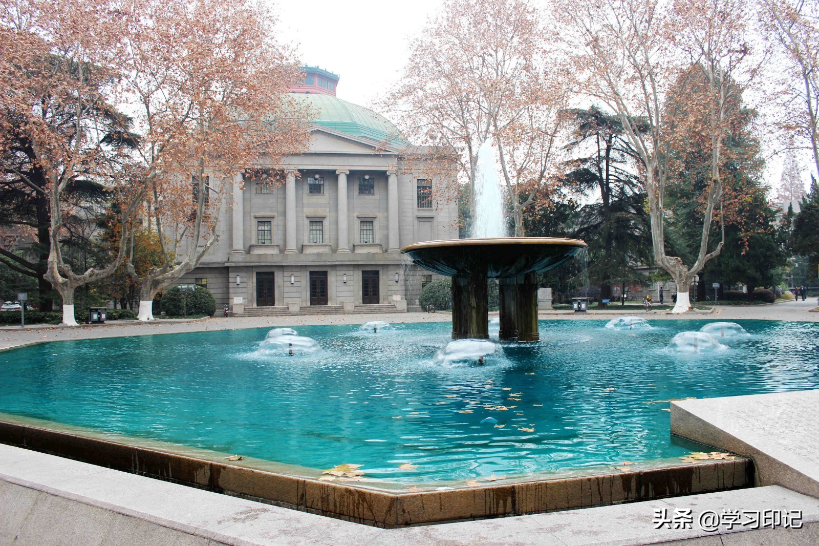 目前国内这三所大学开设“少年班”，天才涌现，你最看好哪一所？