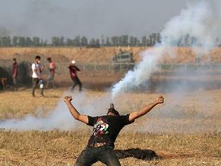 新乡医学院的困兽之斗（有点长哦）